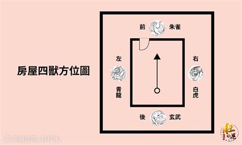 房間龍邊虎邊禁忌|【虎邊禁忌】事業輕鬆加分！揭密虎邊禁忌：風水龍虎。